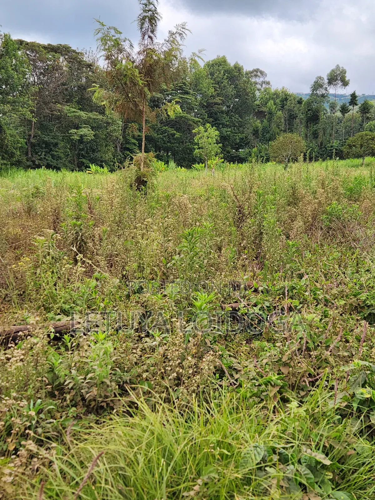 Prime Affordable 1⁄4acres Ngong Along Kahara Road in Ngong CBD