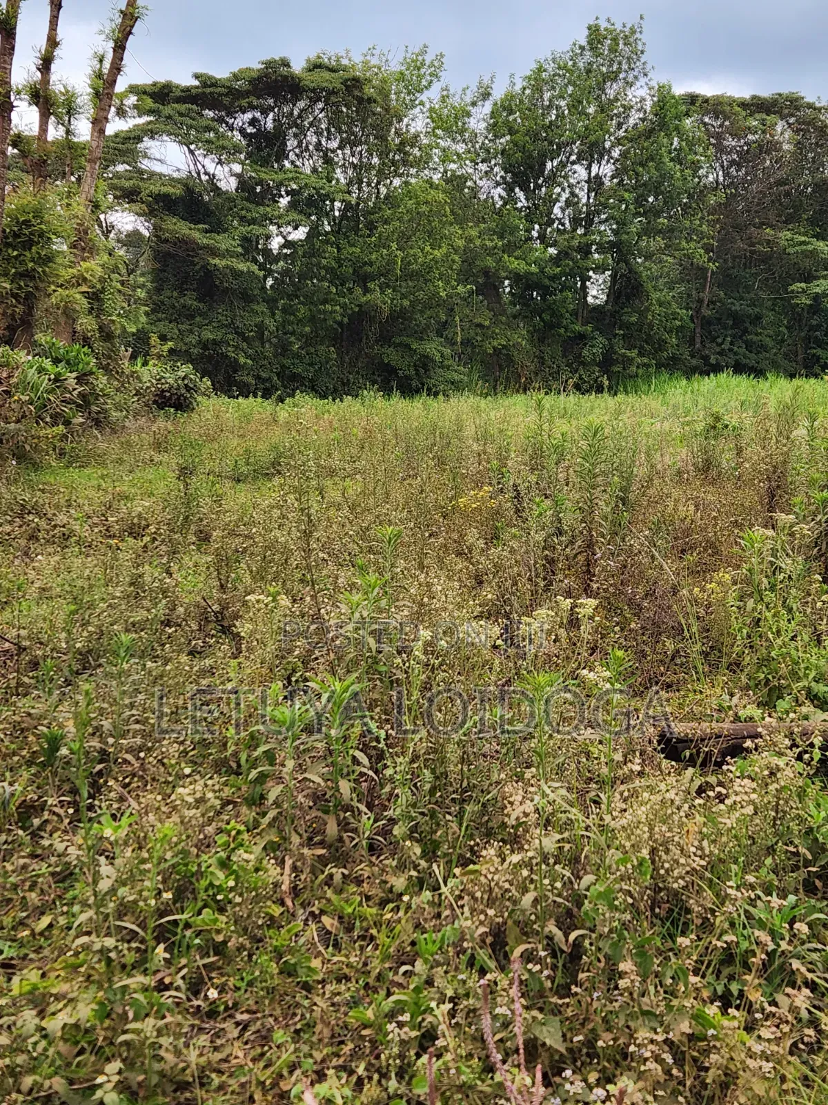 Prime Affordable 1⁄4acres Ngong Along Kahara Road in Ngong CBD