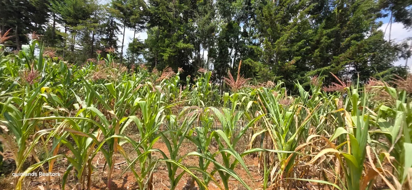 1⁄2 Acre for Sale in Kiplombe Eldoret in Kiplombe