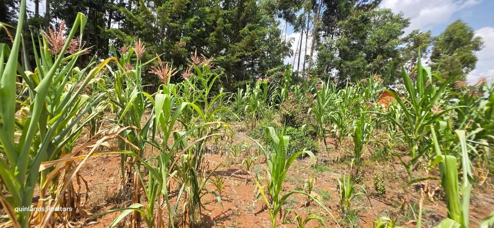 1⁄2 Acre for Sale in Kiplombe Eldoret in Kiplombe