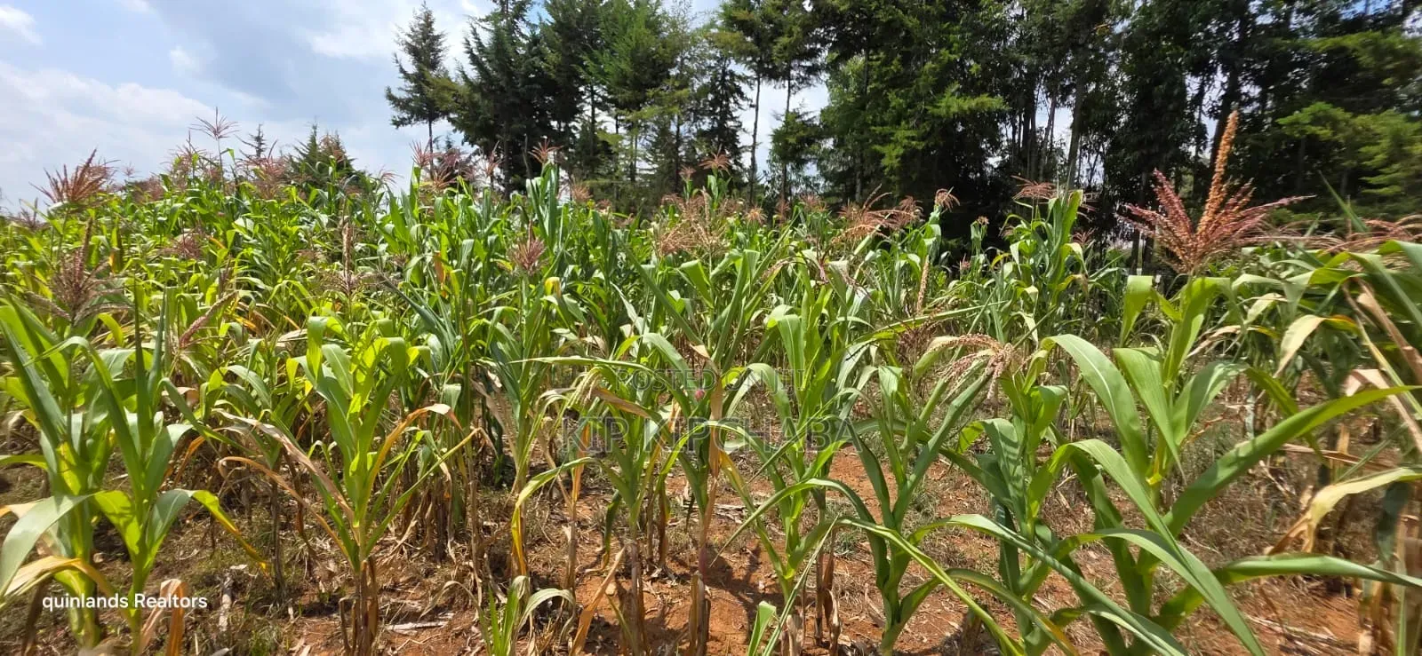 1⁄2 Acre for Sale in Kiplombe Eldoret in Kiplombe