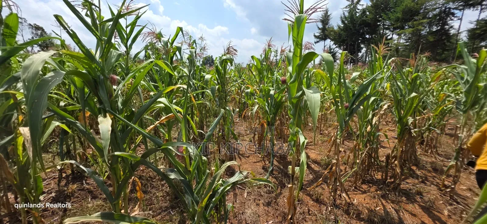 1⁄2 Acre for Sale in Kiplombe Eldoret in Kiplombe