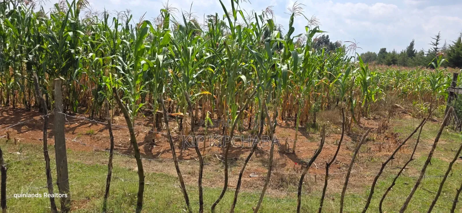1⁄2 Acre for Sale in Kiplombe Eldoret in Kiplombe