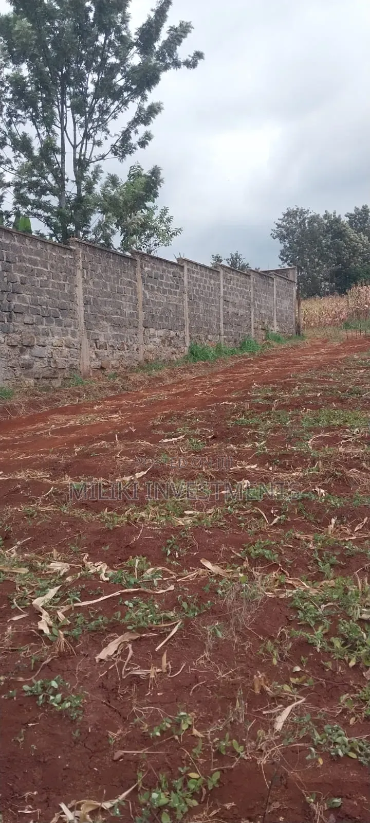 5 Acres on Sale at Maragua-Samar Area in Kamahuha