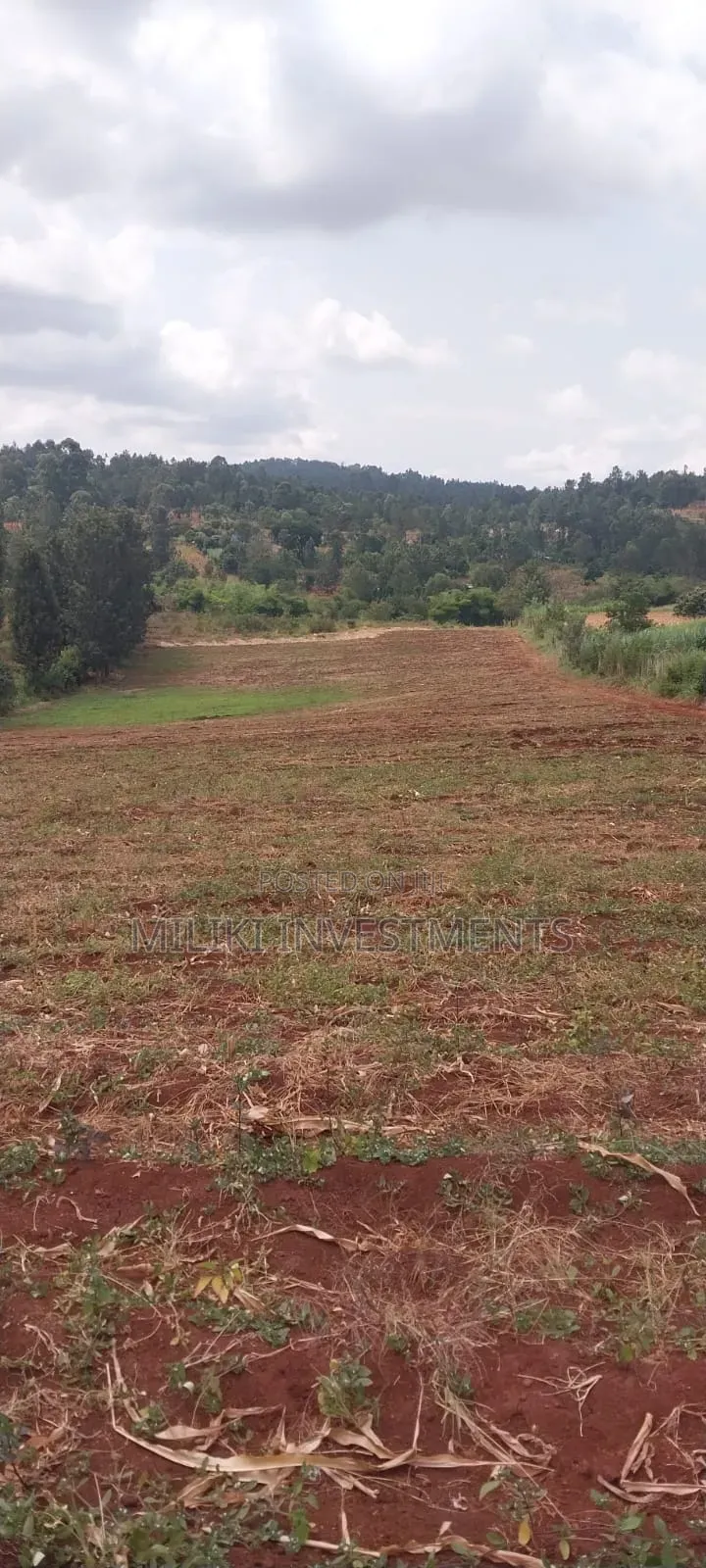 5 Acres on Sale at Maragua-Samar Area in Kamahuha
