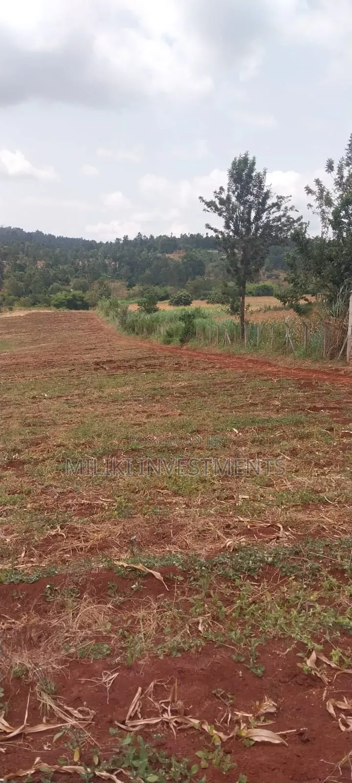 5 Acres on Sale at Maragua-Samar Area in Kamahuha