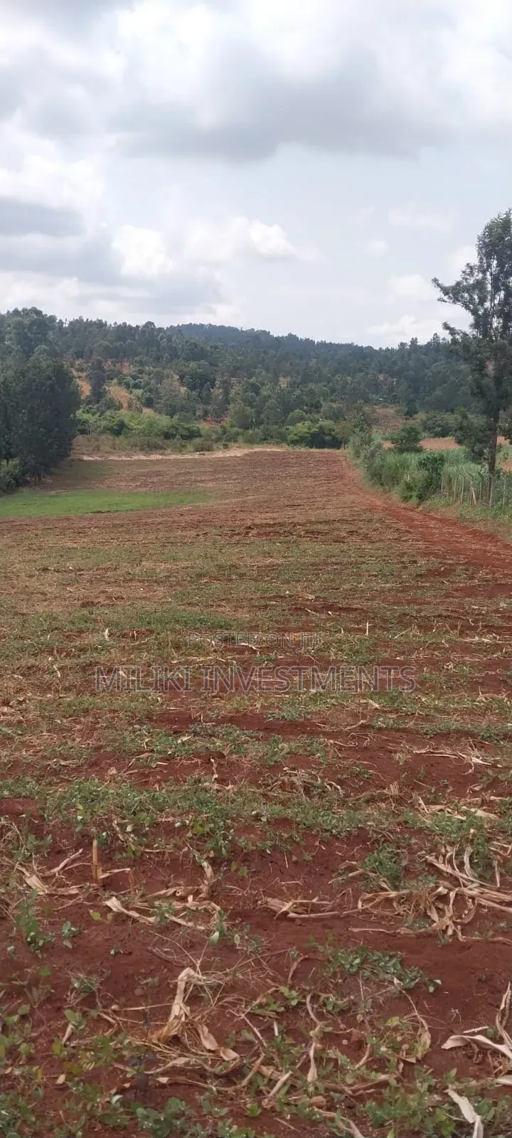 5 Acres on Sale at Maragua-Samar Area in Kamahuha