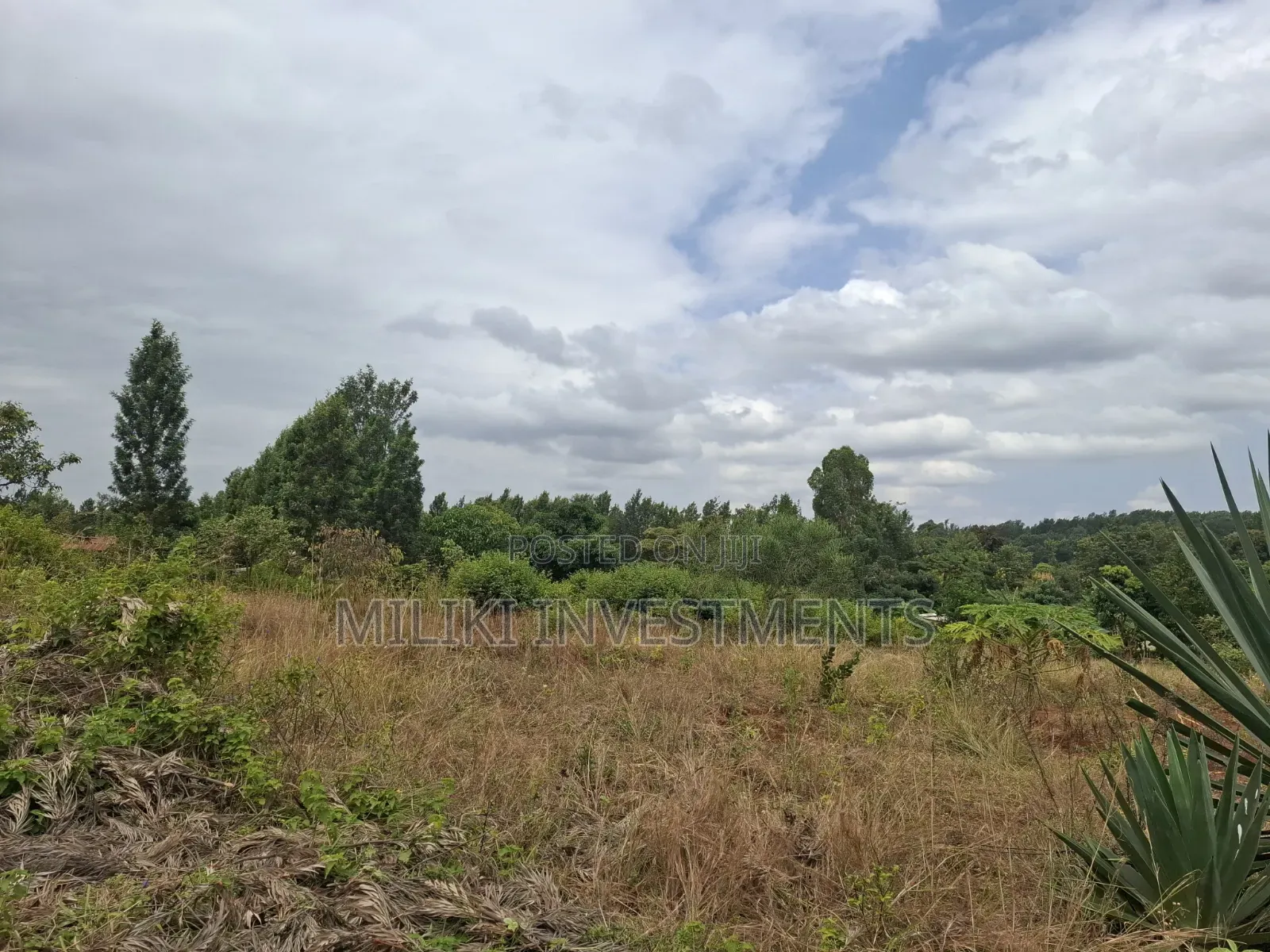 7 Acres on Sale at Kirinyaga,-Kianjiru in Baragwi