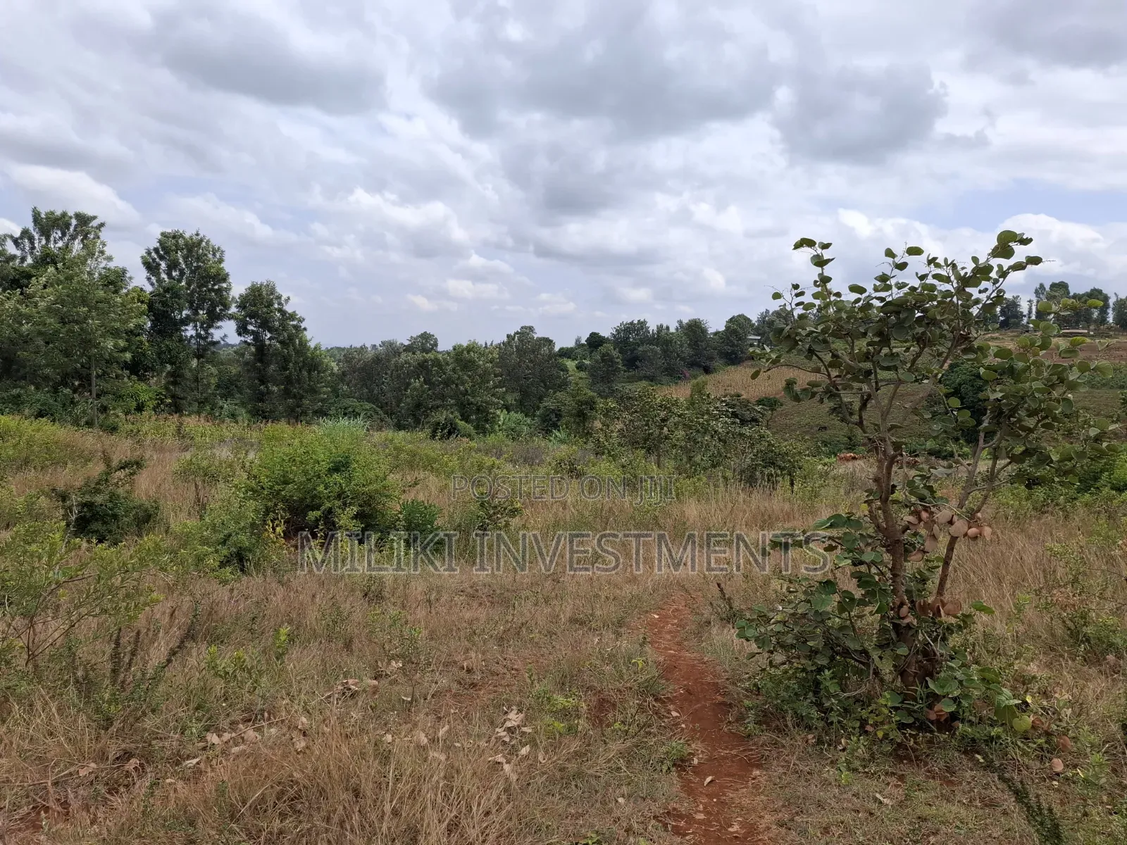 7 Acres on Sale at Kirinyaga,-Kianjiru in Baragwi