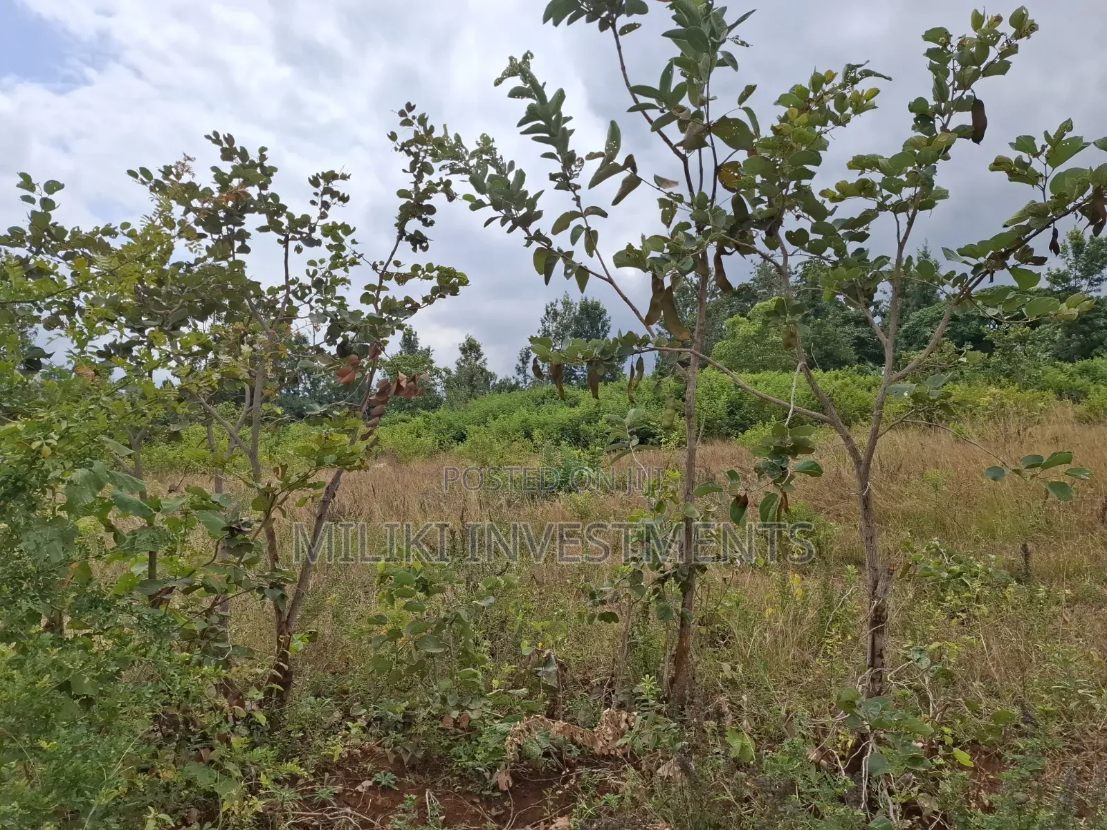 7 Acres on Sale at Kirinyaga,-Kianjiru in Baragwi