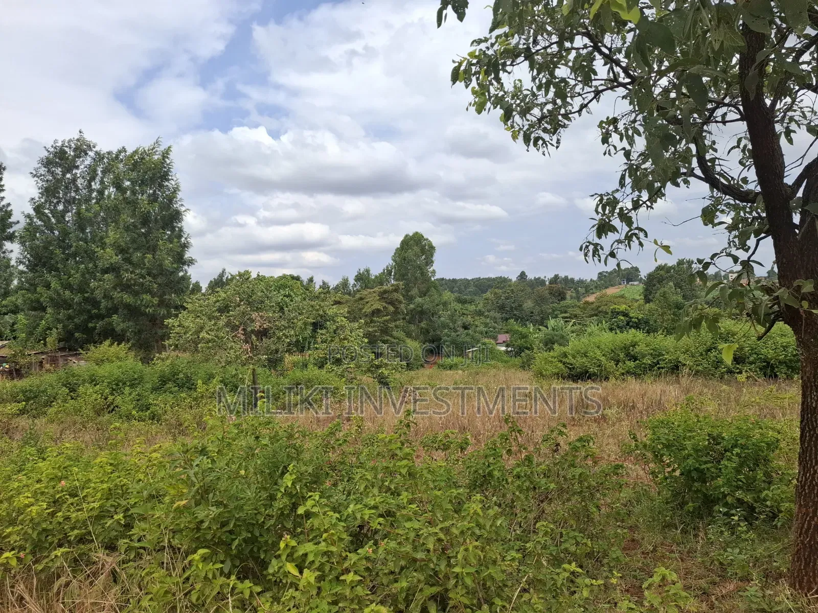 7 Acres on Sale at Kirinyaga,-Kianjiru in Baragwi