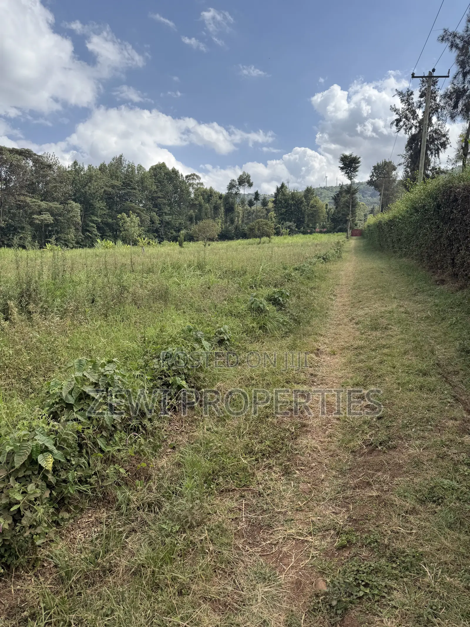 Quarter Acre Bondeni in Matasia