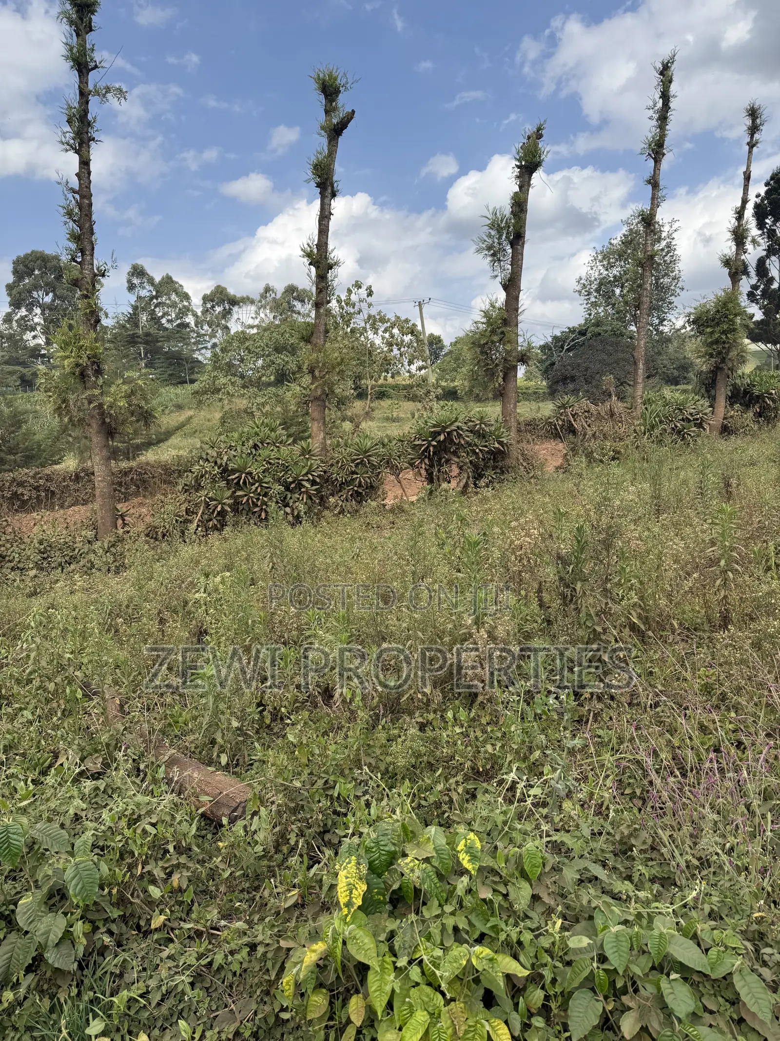 Quarter Acre Bondeni in Matasia