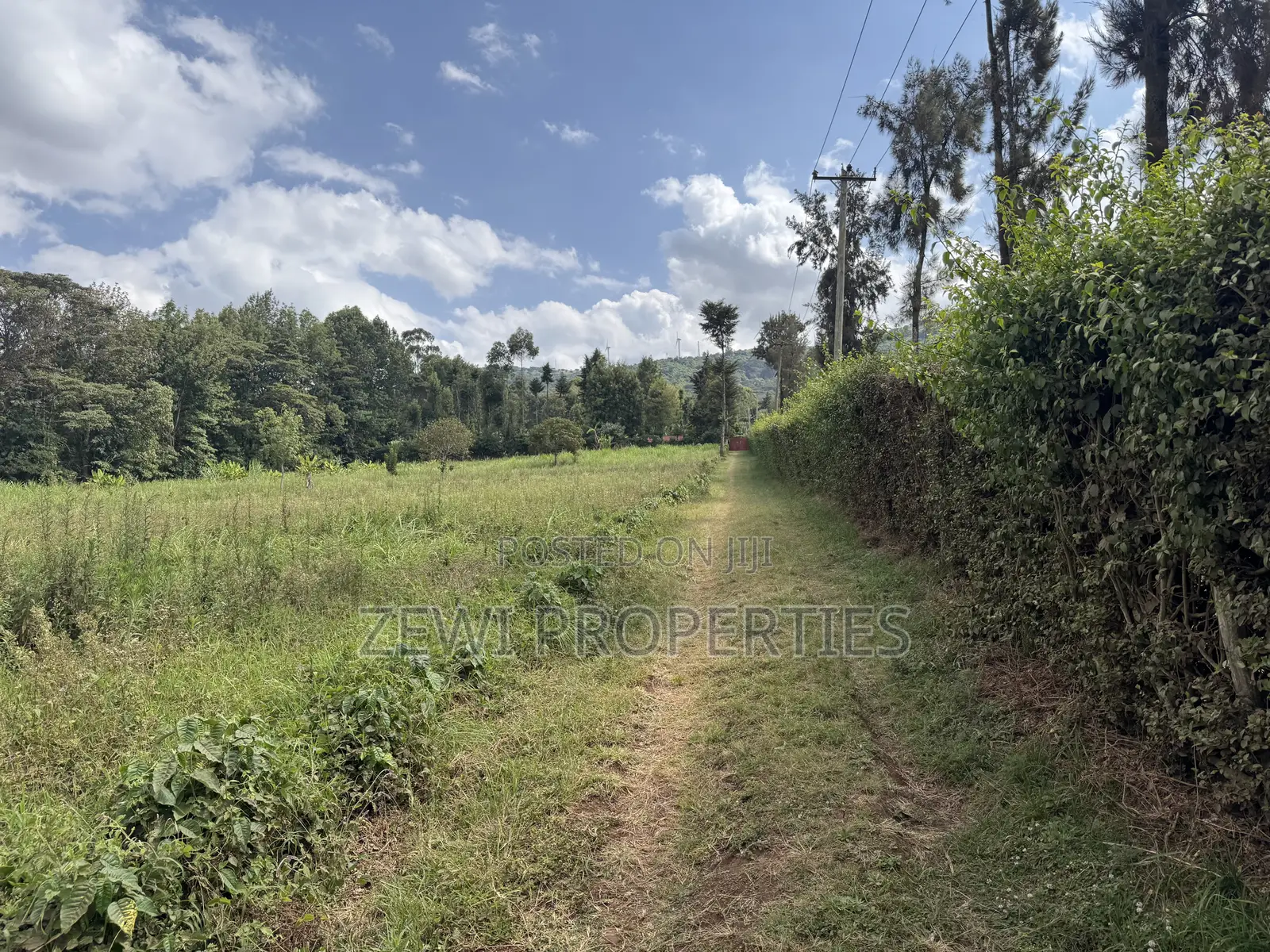 Quarter Acre Bondeni in Matasia