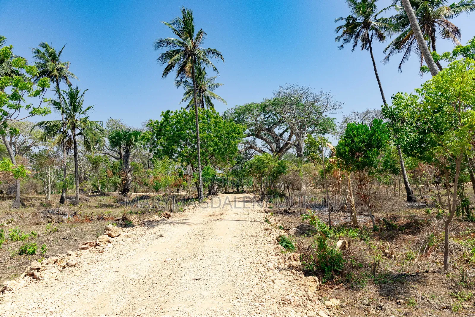 Step by Step of Owning a Piece of Diani. in Diani