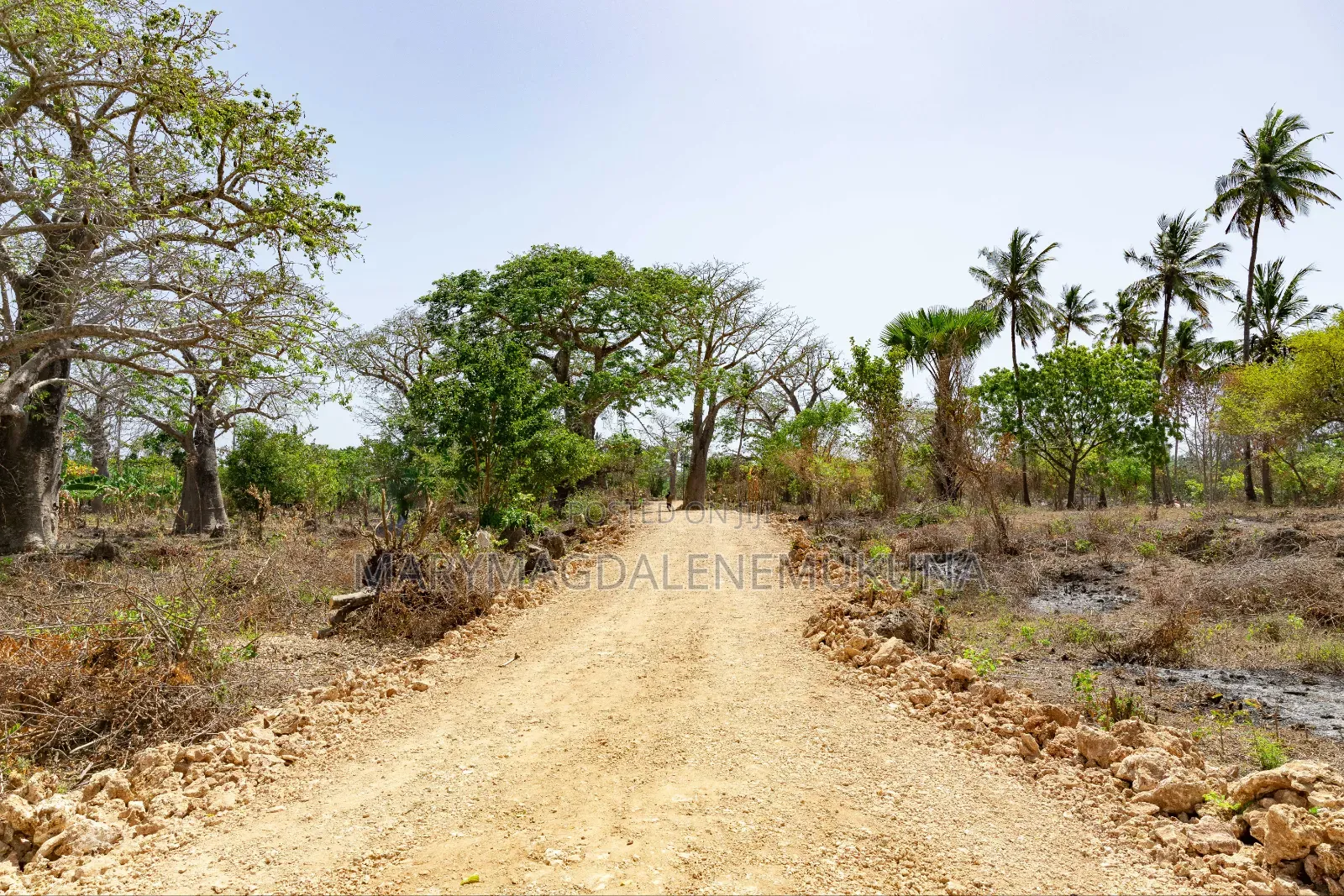Step by Step of Owning a Piece of Diani. in Diani
