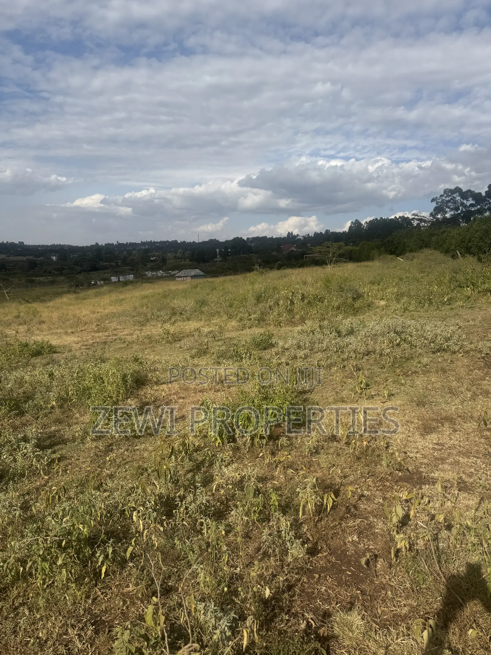6 Acres Kibiku in Kibiku