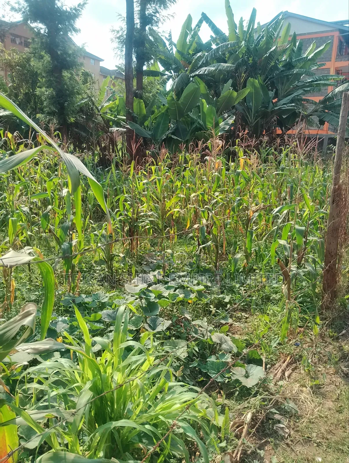 Lowe Kabete 1/8 Plot for Lease in Lower Kabete