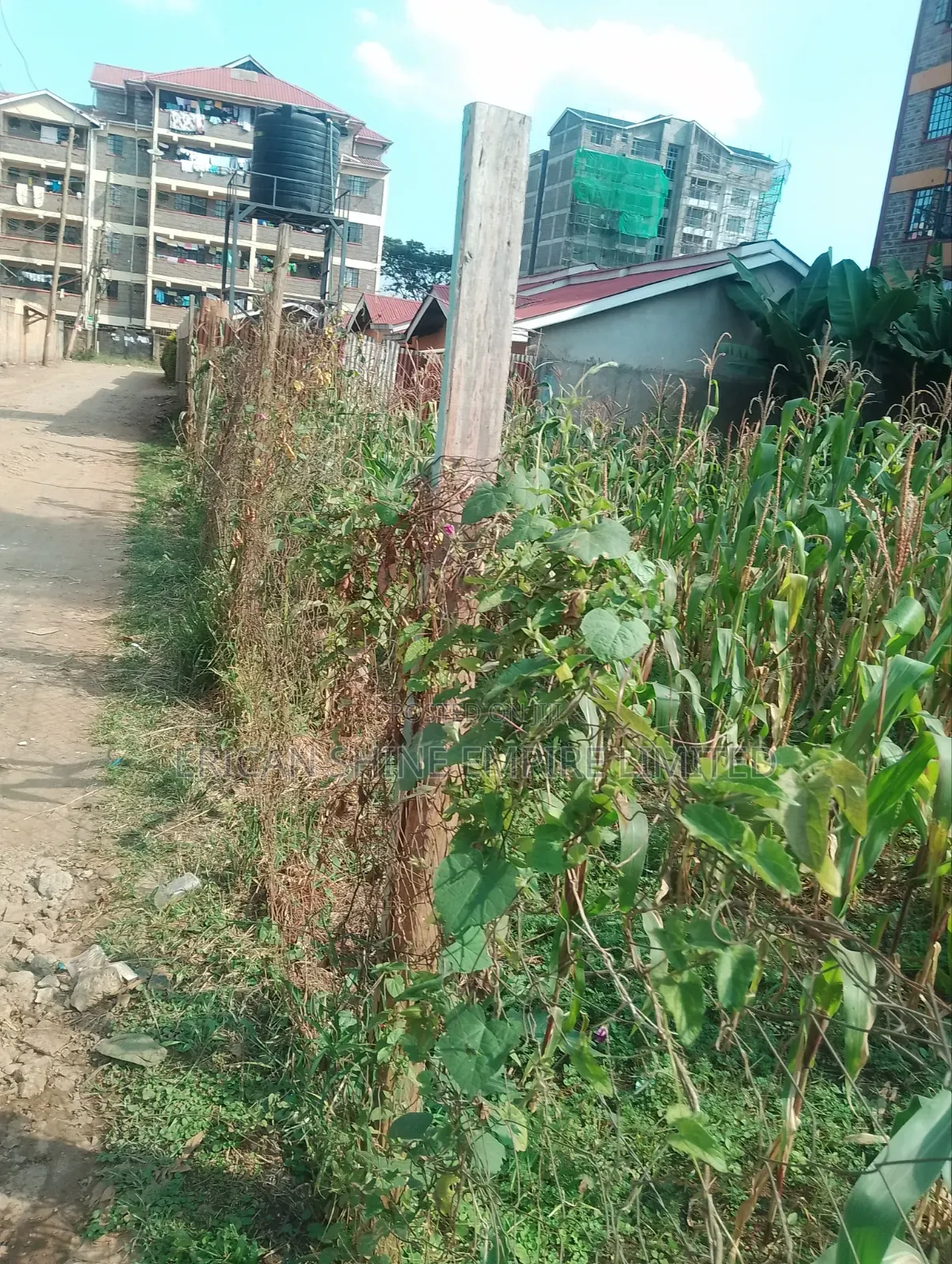 Lowe Kabete 1/8 Plot for Lease in Lower Kabete
