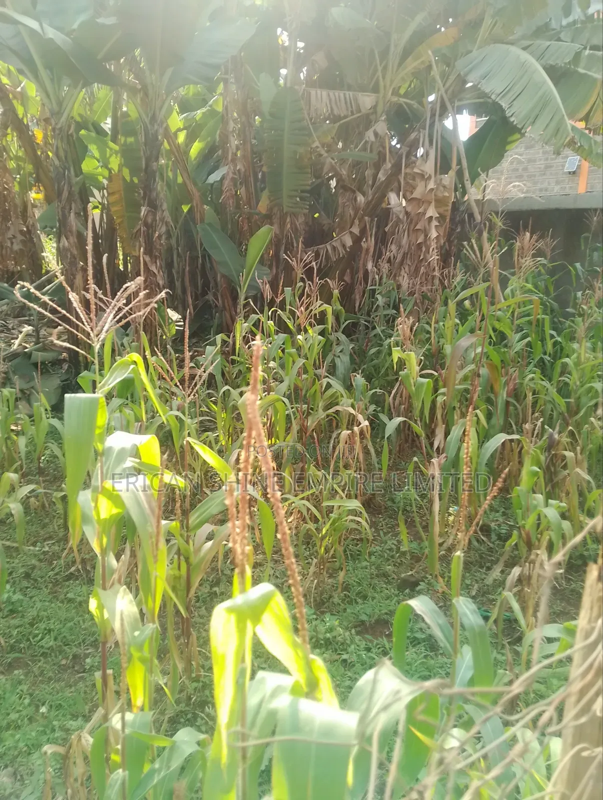 Lowe Kabete 1/8 Plot for Lease in Lower Kabete