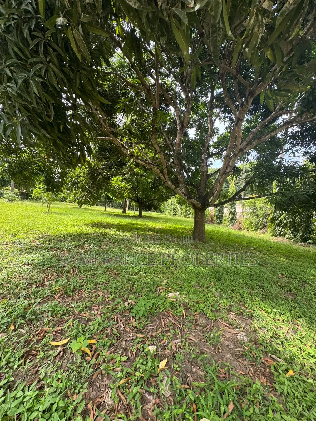 Very Prime Land on Sale in Kanamai Mtwapa. in Mtwapa