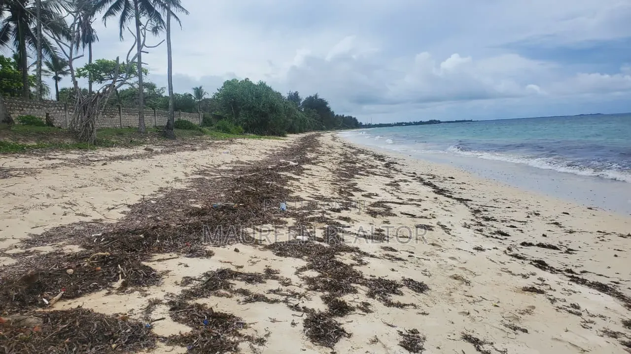 1/4 Acre Beach Plots Msambweni in Ukunda