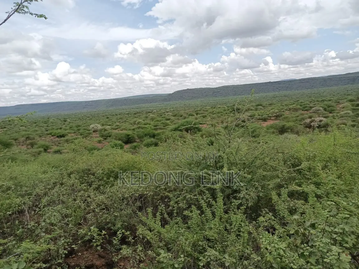 Ewuaso Kedong / Kesumetti Acres for Sale in Ewaso Kendong
