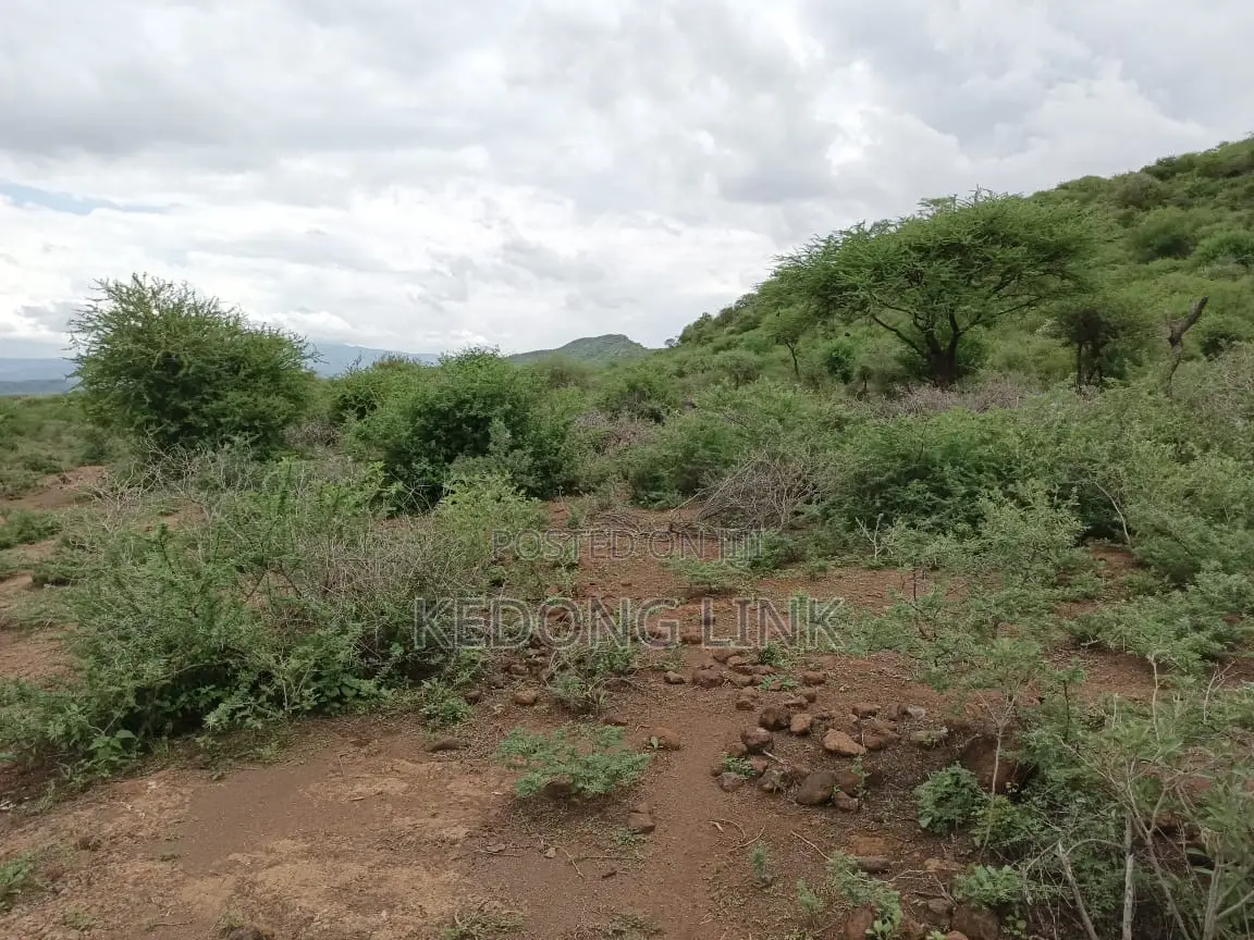 Ewuaso Kedong / Kesumetti Acres for Sale in Ewaso Kendong