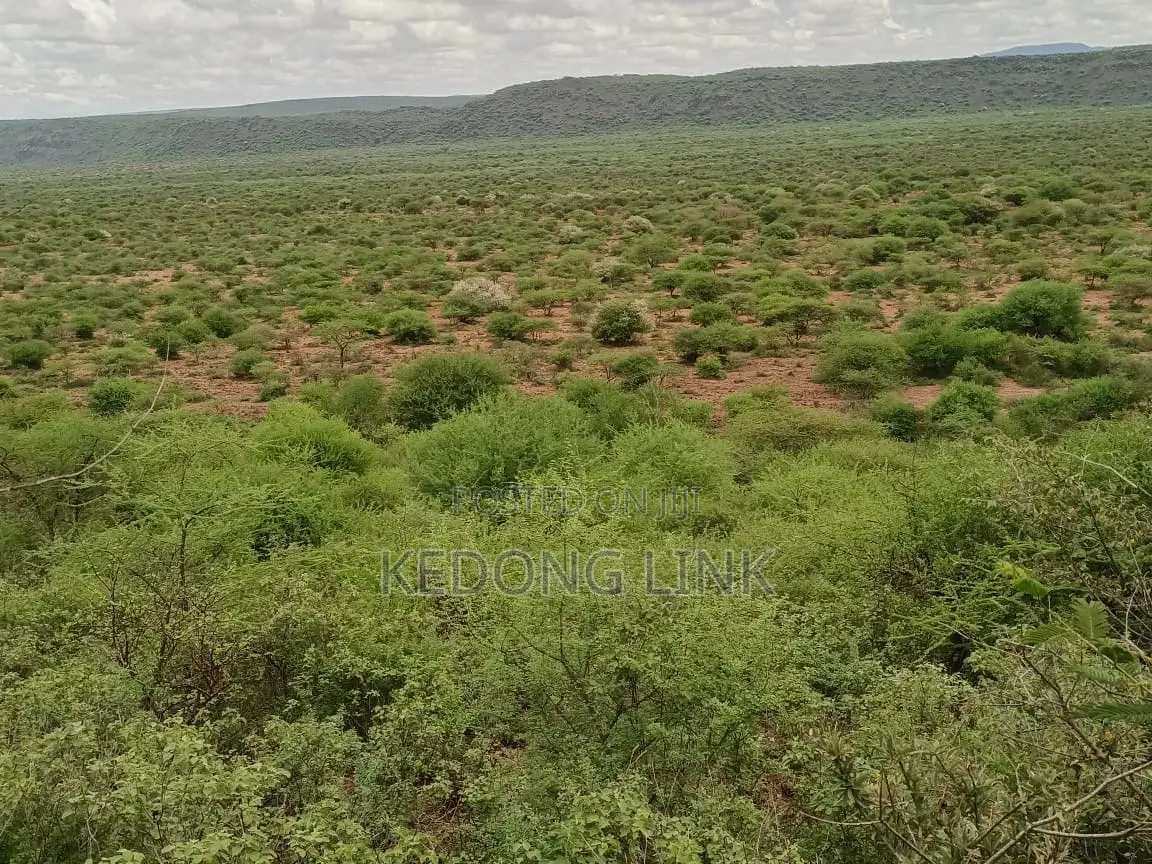 Ewuaso Kedong / Kesumetti Acres for Sale in Ewaso Kendong