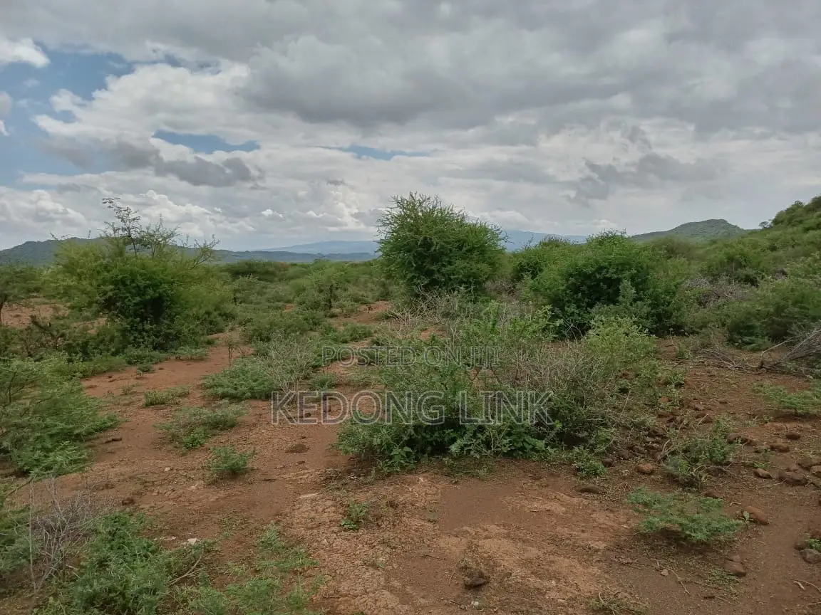 Ewuaso Kedong / Kesumetti Acres for Sale in Ewaso Kendong