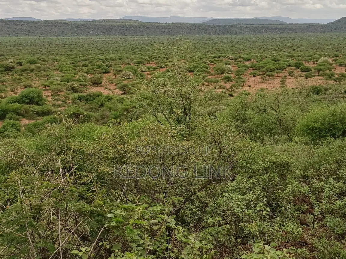 Ewuaso Kedong / Kesumetti Acres for Sale in Ewaso Kendong