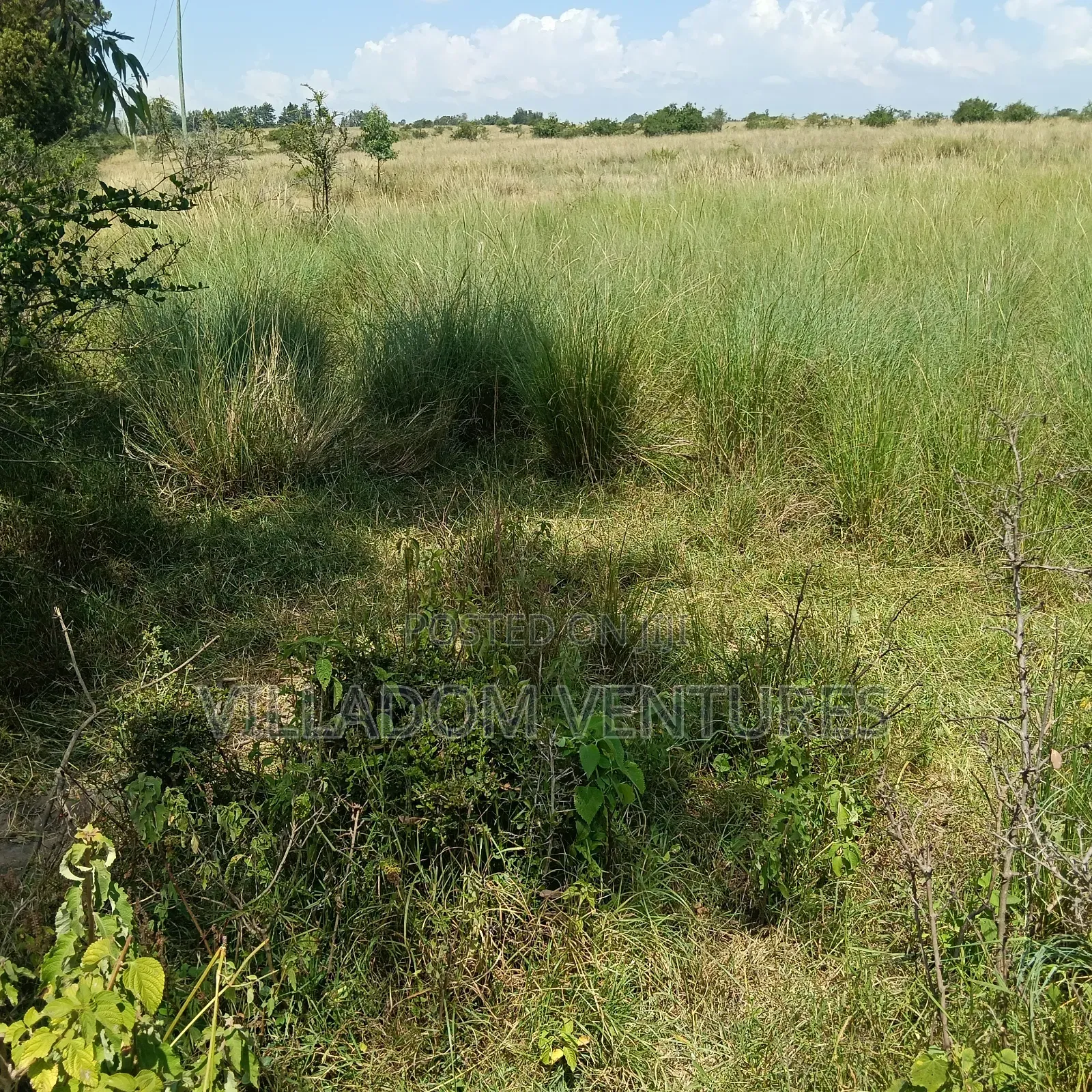 For Sale 32 Acres Near Greensteds School in Nakuru Town East