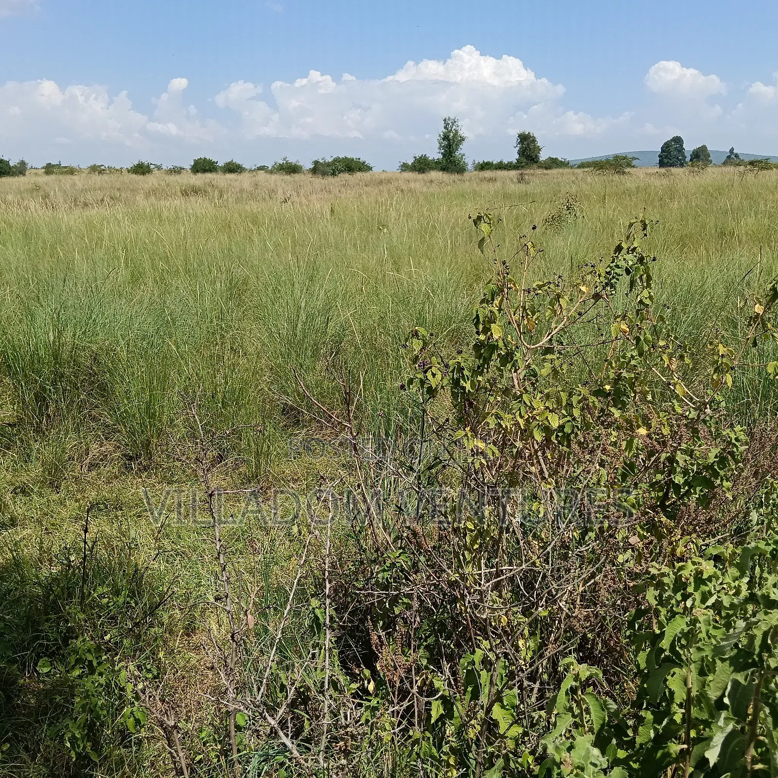 For Sale 32 Acres Near Greensteds School in Nakuru Town East