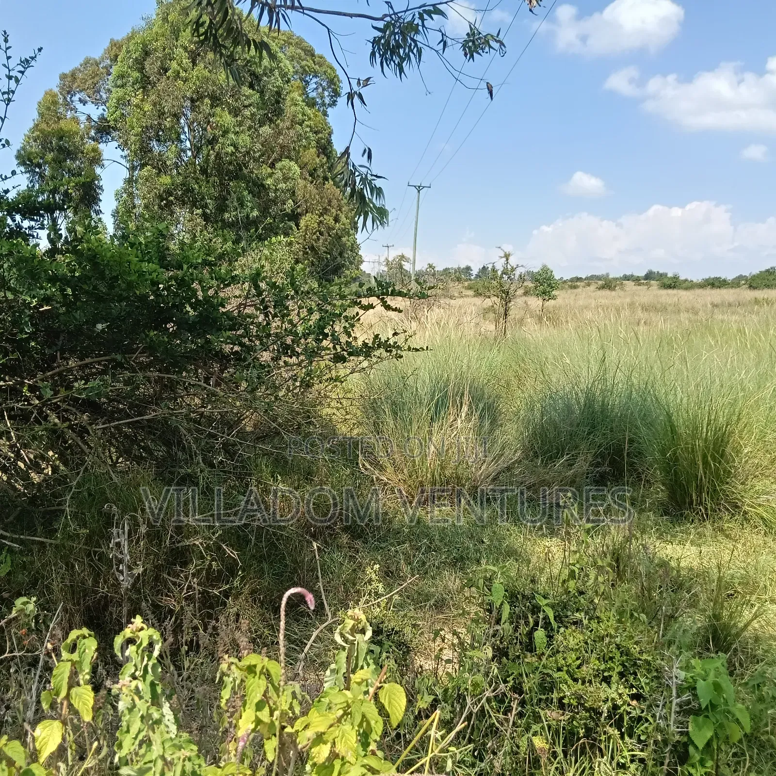 For Sale 32 Acres Near Greensteds School in Nakuru Town East