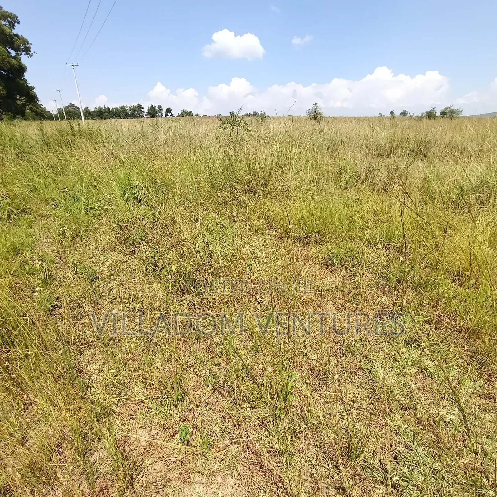 For Sale 32 Acres Near Greensteds School in Nakuru Town East