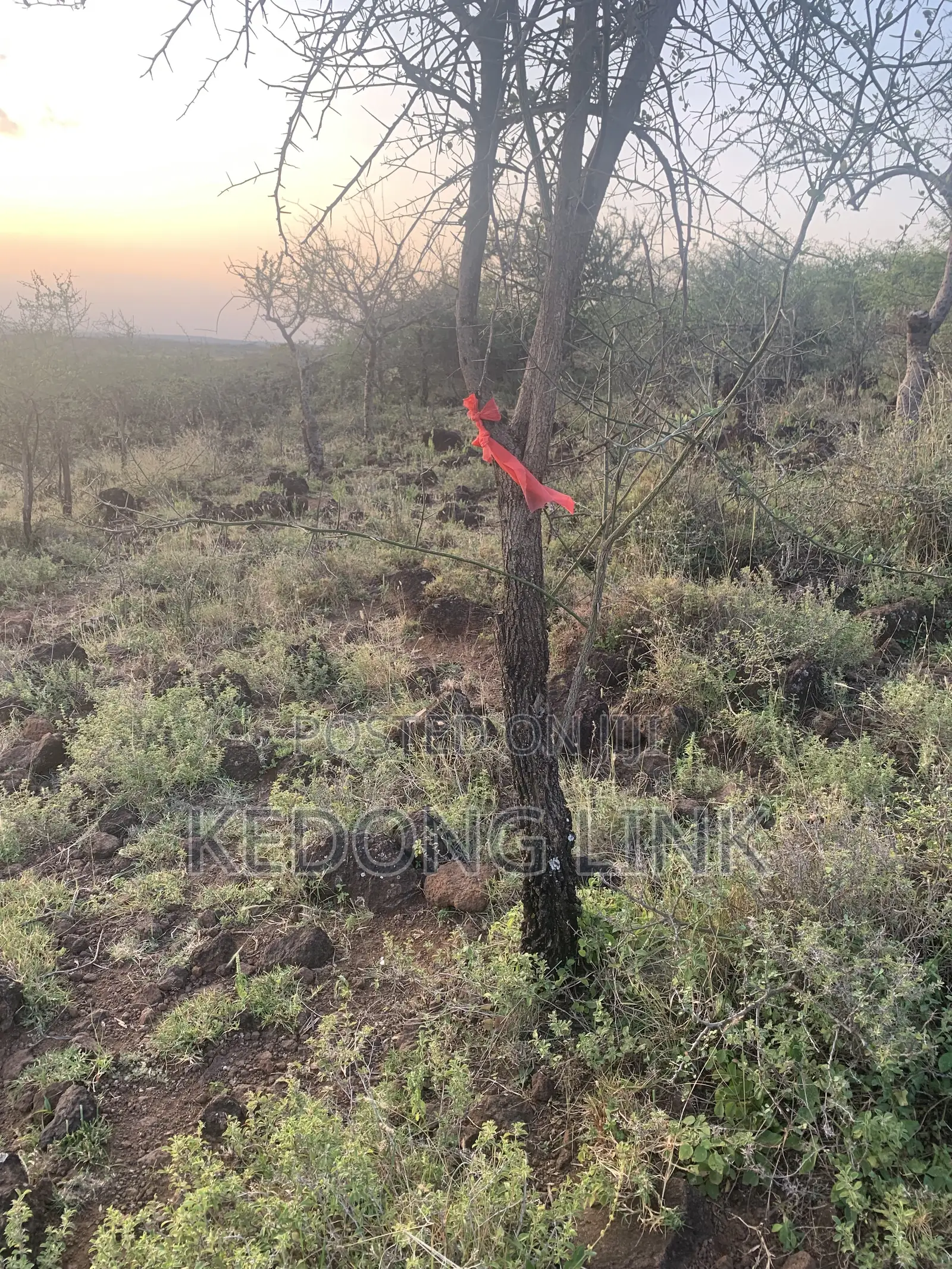 Nguirubi Thigio 5 Acres for Sale in Ndeiya