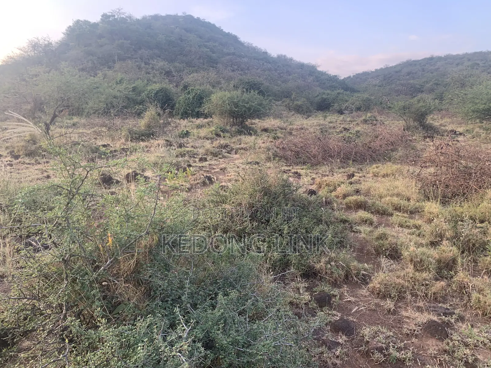 Nguirubi Thigio 5 Acres for Sale in Ndeiya