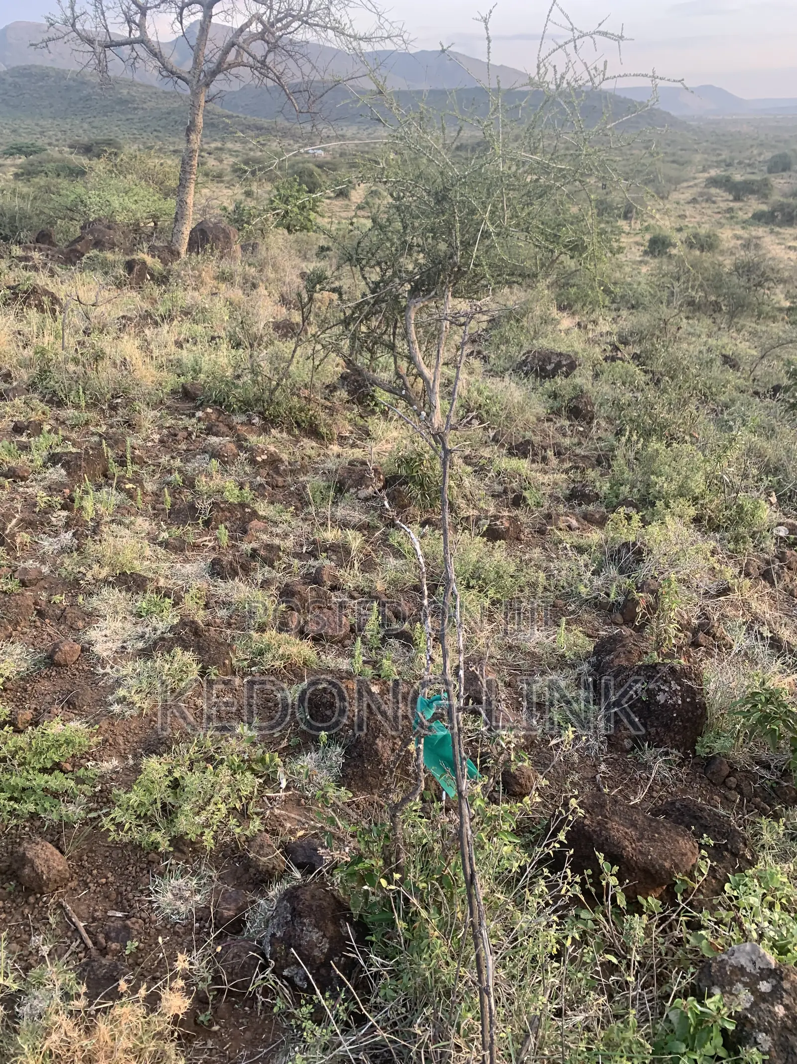 Nguirubi Thigio 5 Acres for Sale in Ndeiya