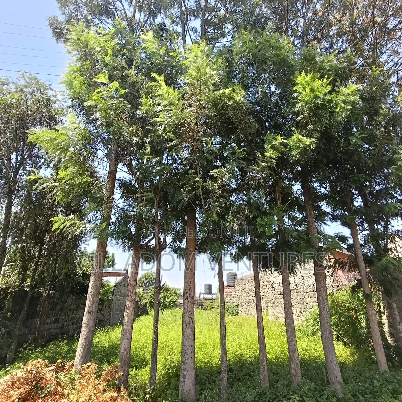 For Quick Sale Slightly Bigger Than a 50/100 Plot and Less Than a 1/4 in Nakuru Town East