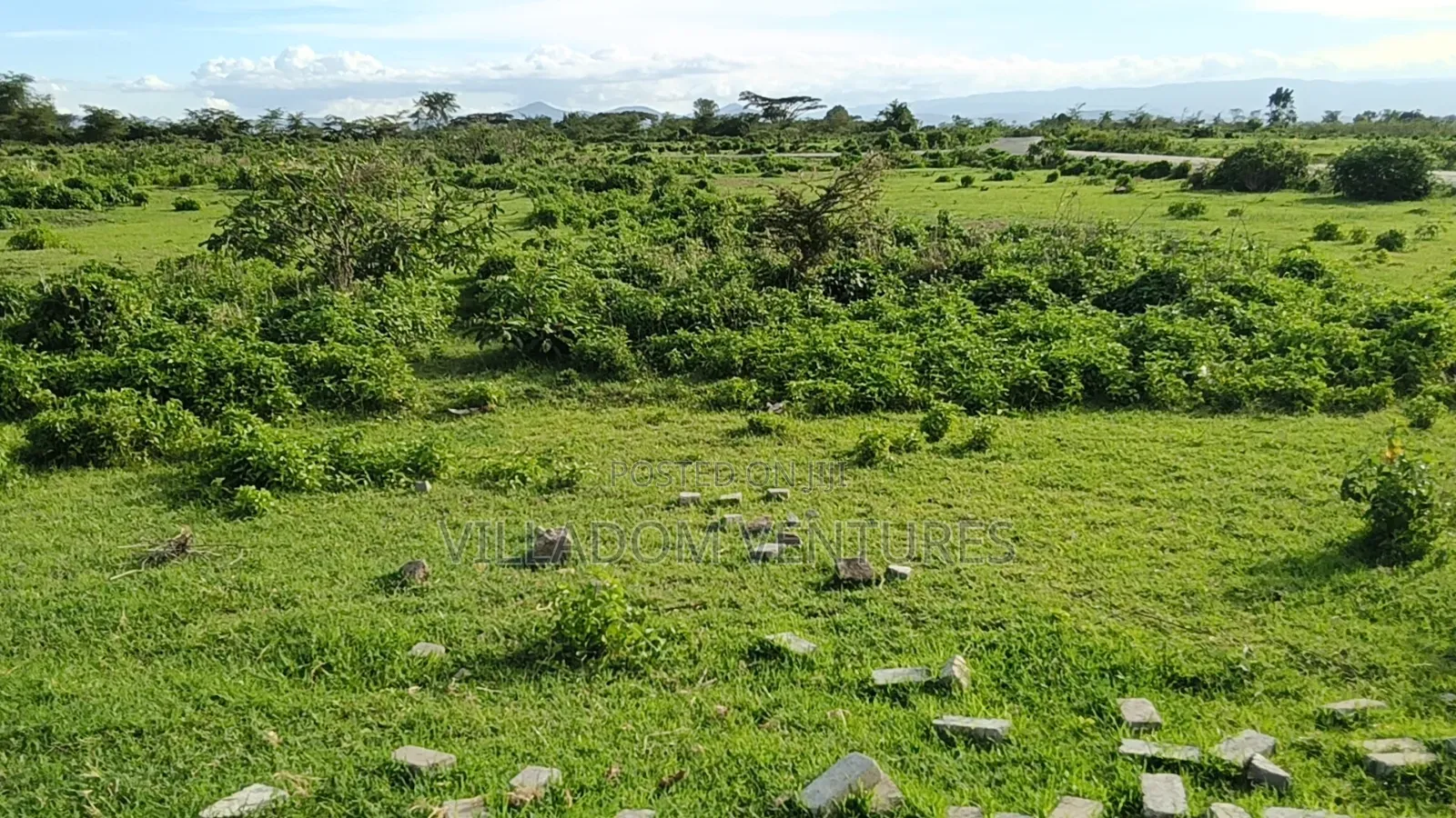 For Quick Sale Several 50/100 Plots in Newvasha in Naivasha in Nakuru Town East