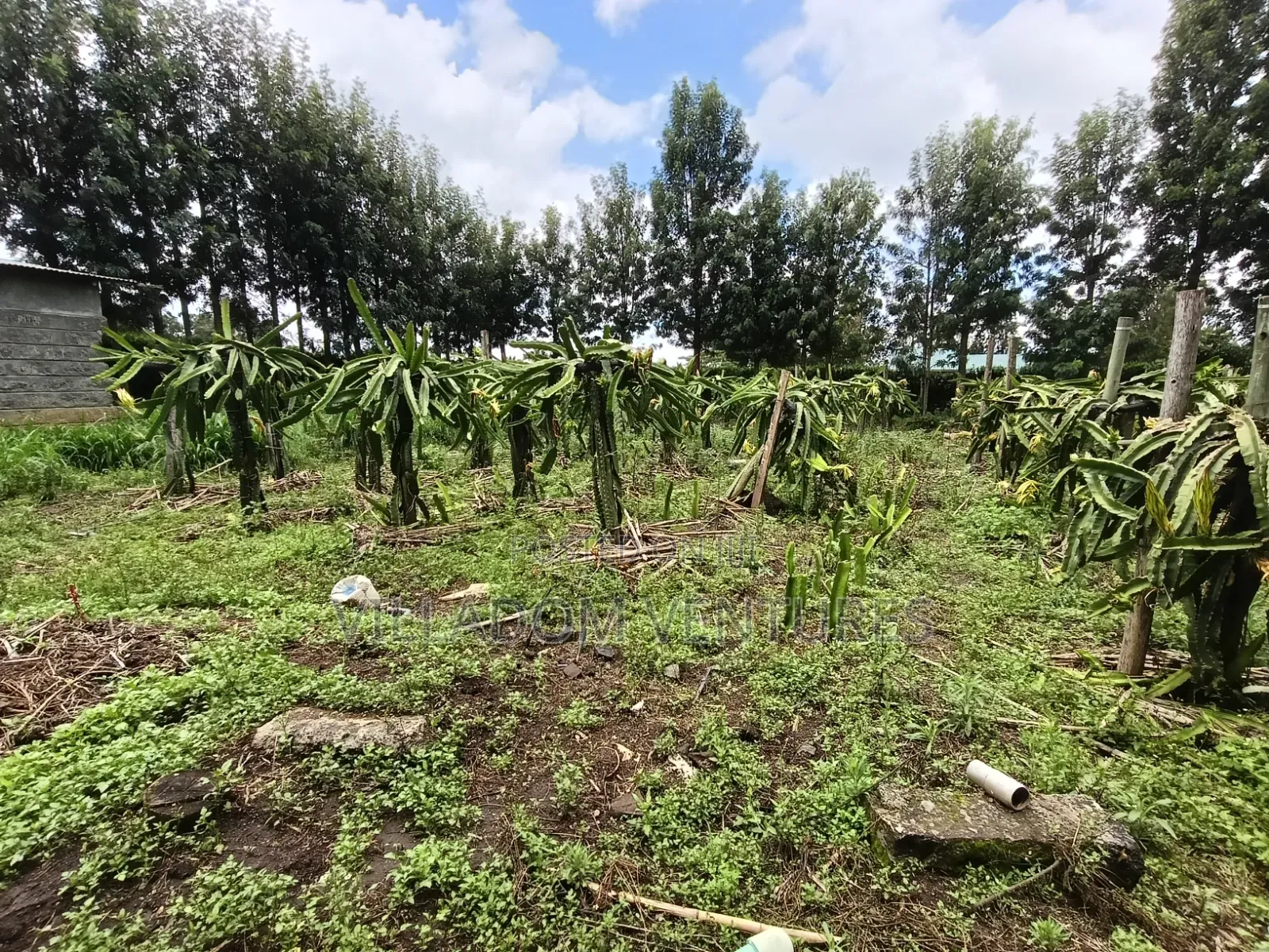 For Quick Sale Several 50/100 Plots Near Annester Premier Nakuru in Nakuru Town East