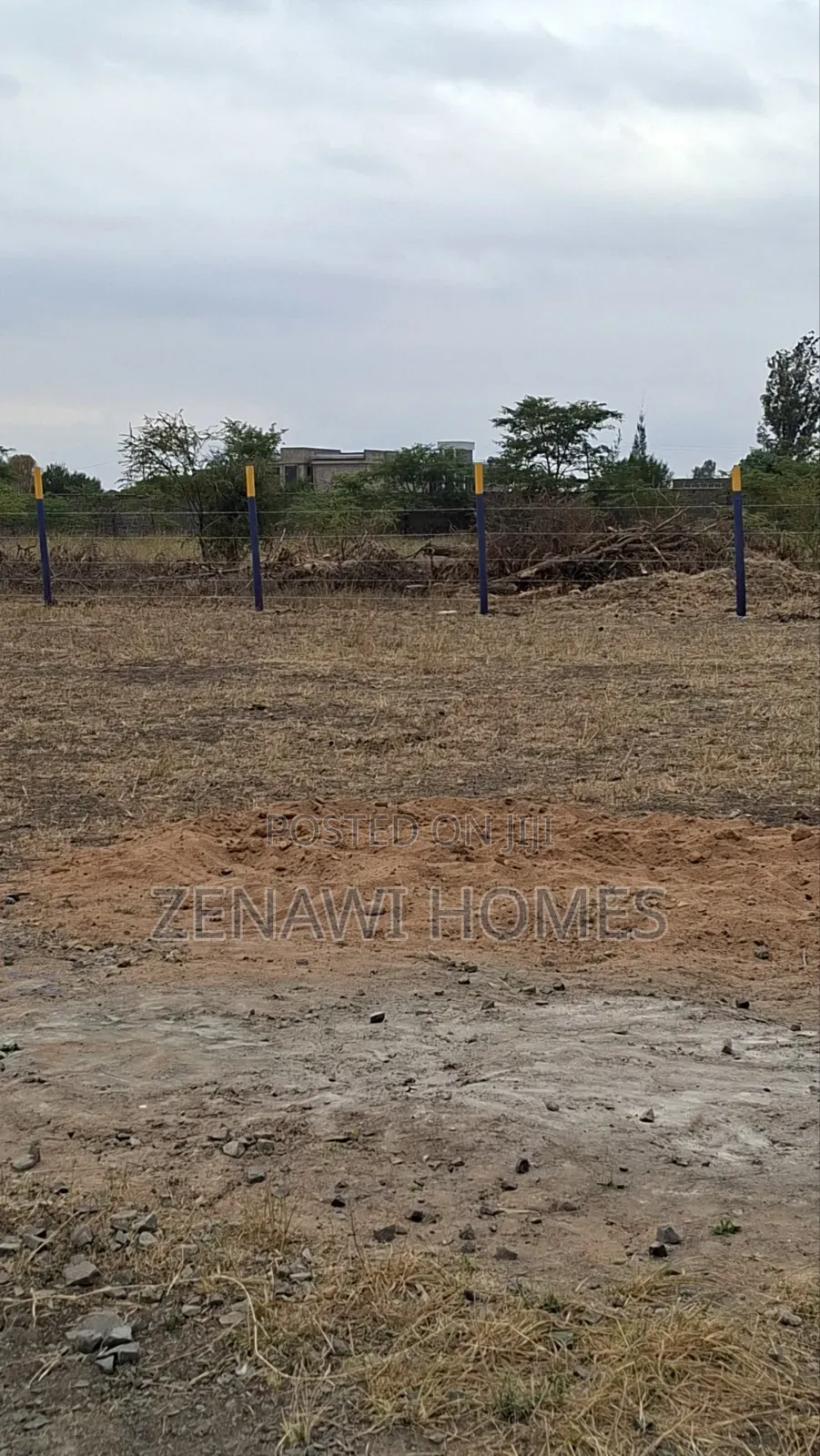 Near CBD Jr in Kalimoni
