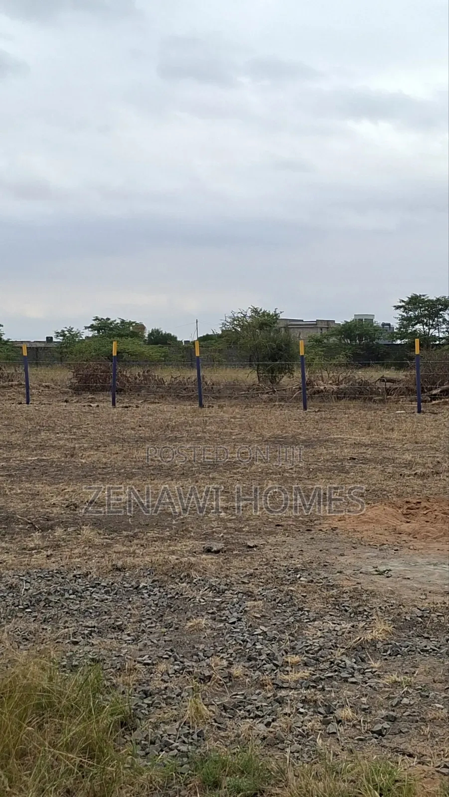 Near CBD Jr in Kalimoni