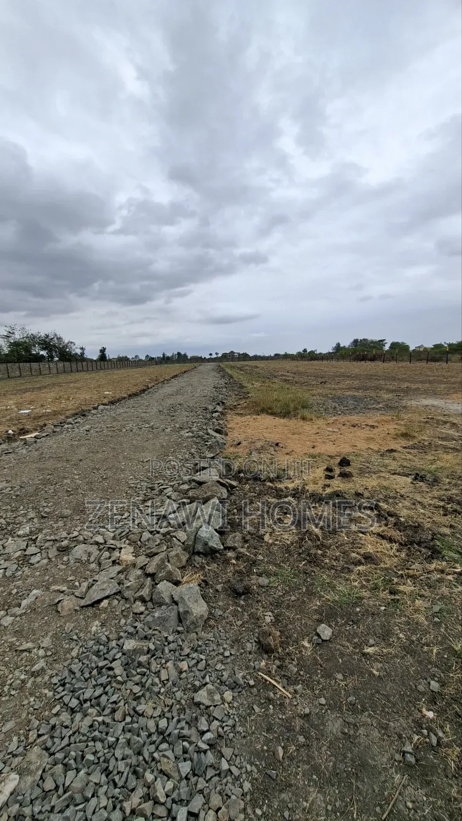 Near CBD Jr in Kalimoni
