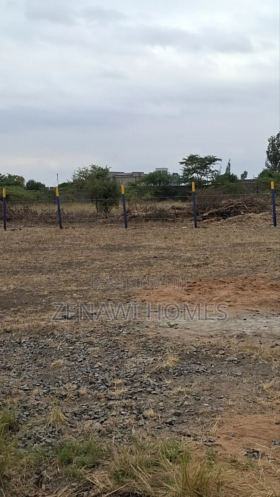 Perimeter Wall Plots in Jujafarm Jr in Kalimoni