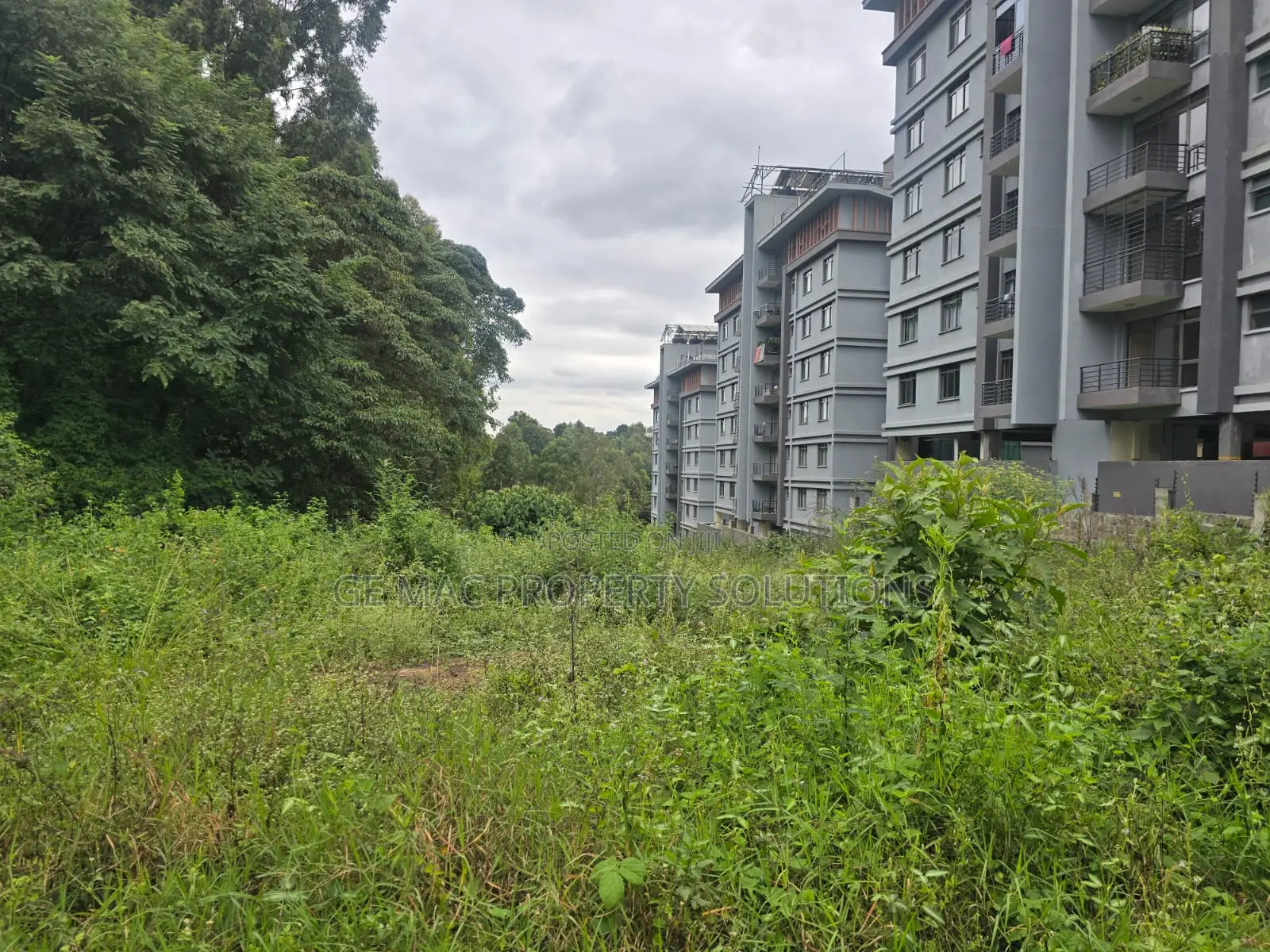 2 Acres Prime Land for Sale in Kitusuru in Kyuna Estate