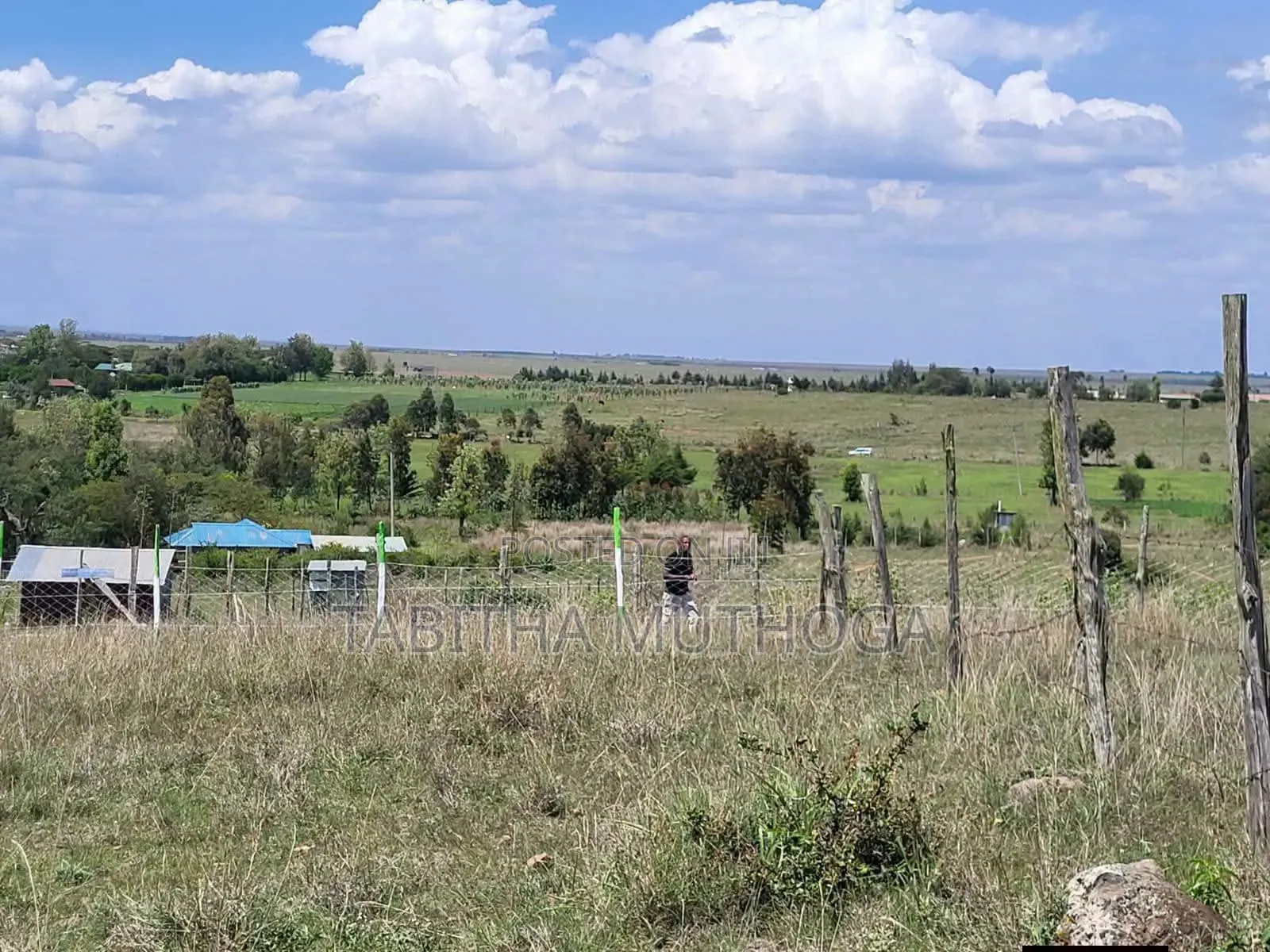 1/8 of an Acre in Naromoru Kiamathaga