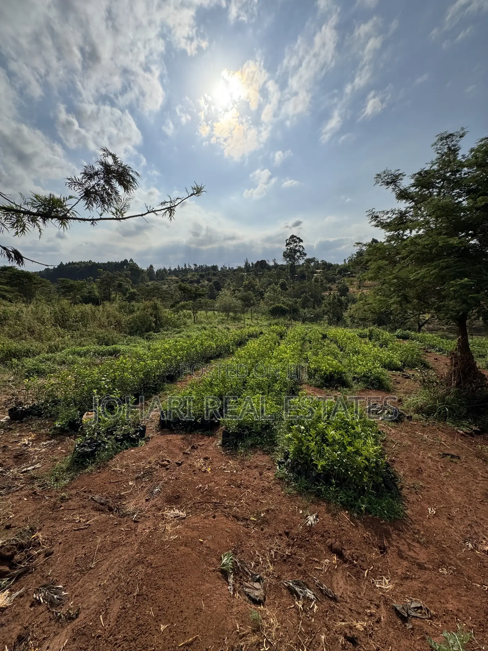 Land for Sale Touching Nairobi-Nanyuki Highway in Murang'a