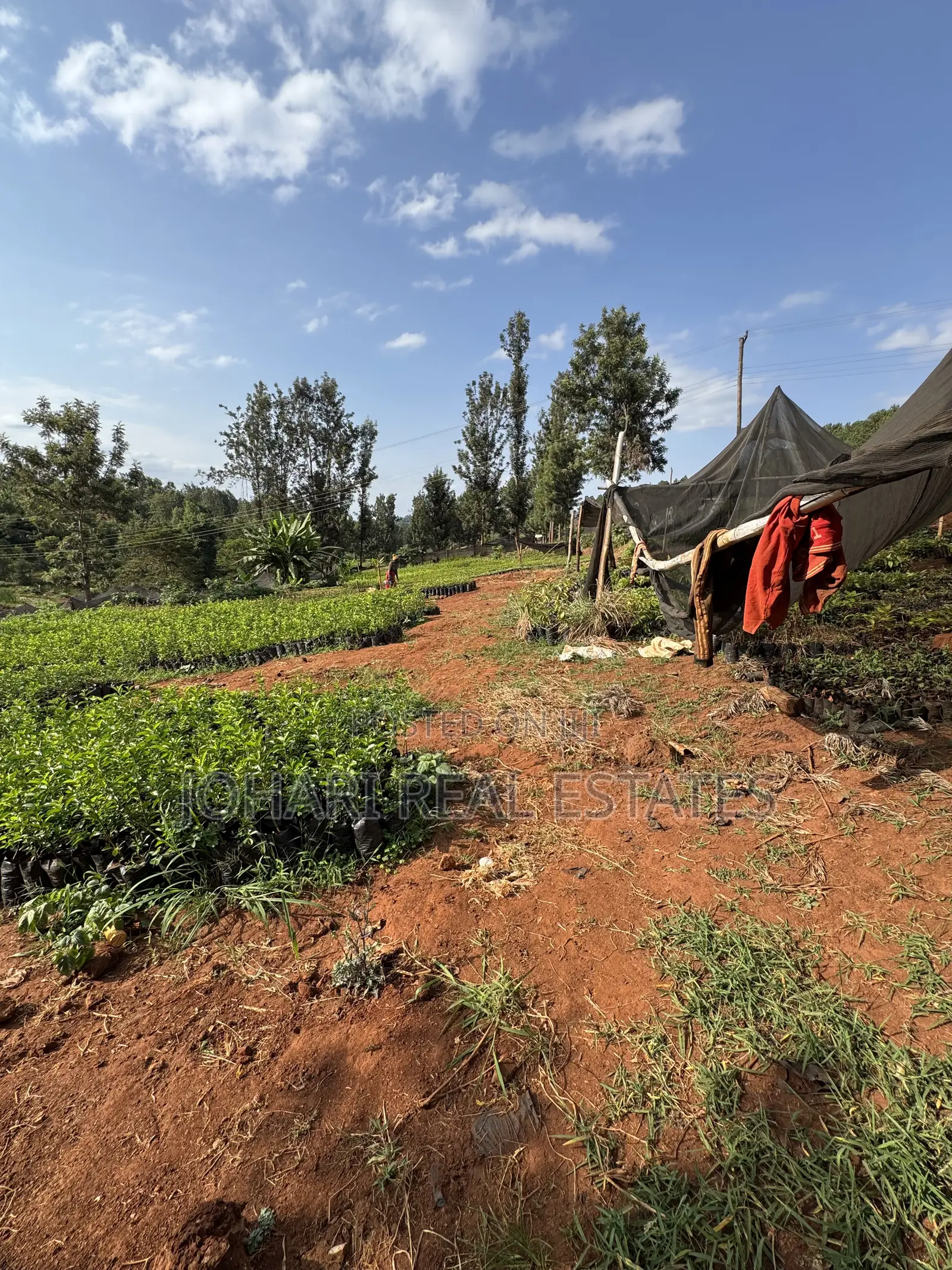 Land for Sale Touching Nairobi-Nanyuki Highway in Murang'a