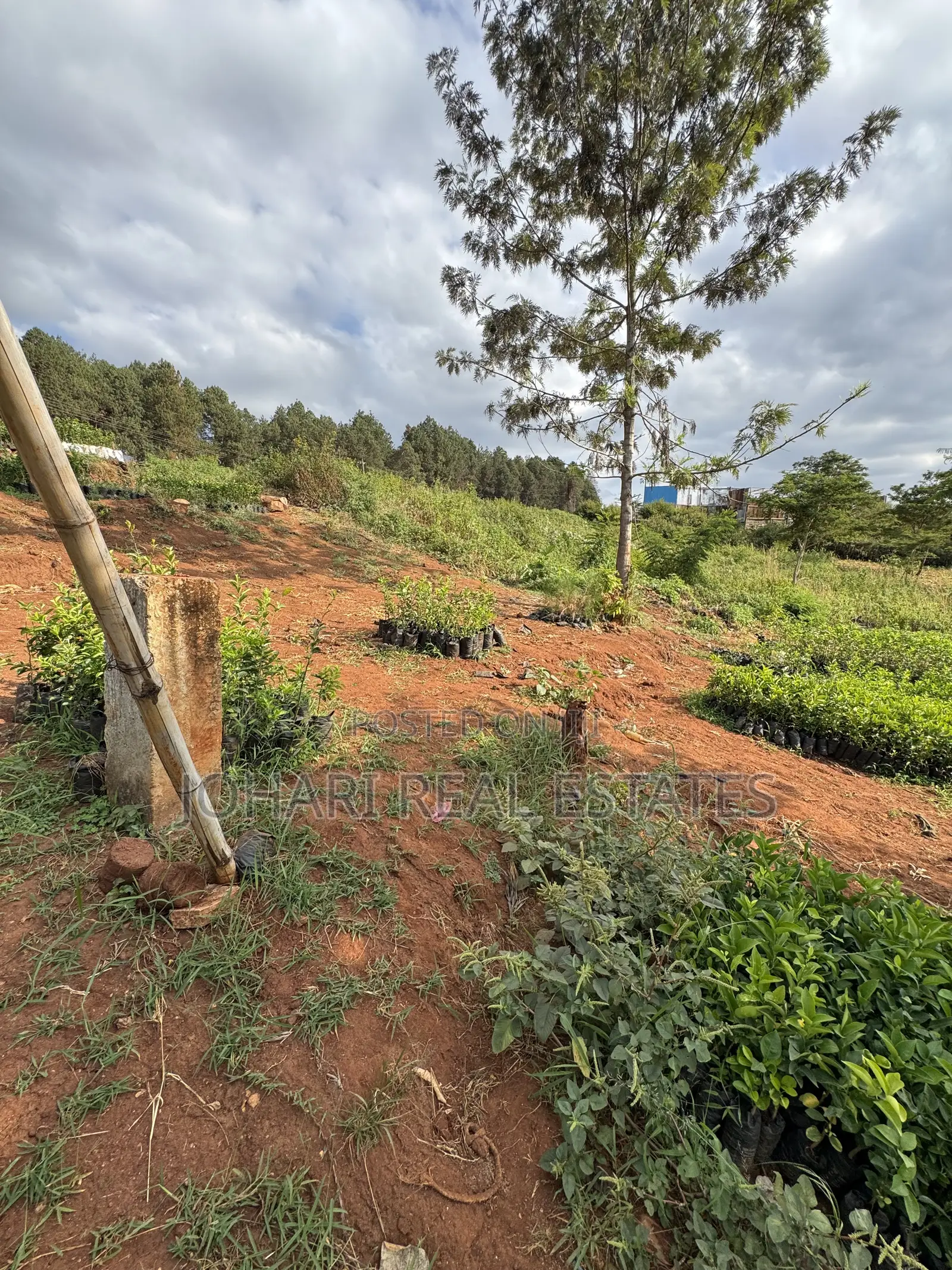 Land for Sale Touching Nairobi-Nanyuki Highway in Murang'a